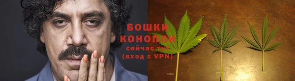 дмт Медногорск