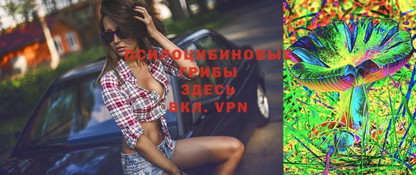 apvp Мегион