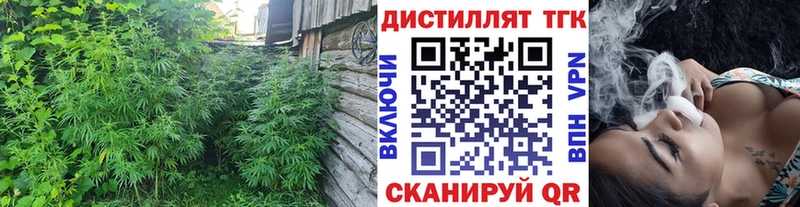 shop как зайти  Тбилисская  Дистиллят ТГК гашишное масло 