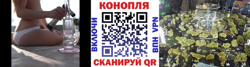Канабис OG Kush  Тбилисская 